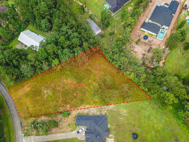 18332 Wisp Willow Way, Porter, TX 77365