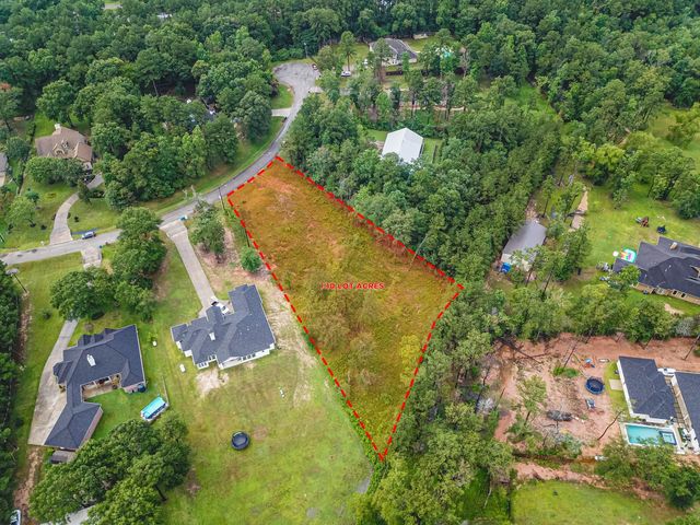 18332 Wisp Willow Way, Porter, TX 77365