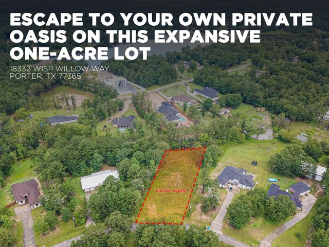 18332 Wisp Willow Way, Porter, TX 77365