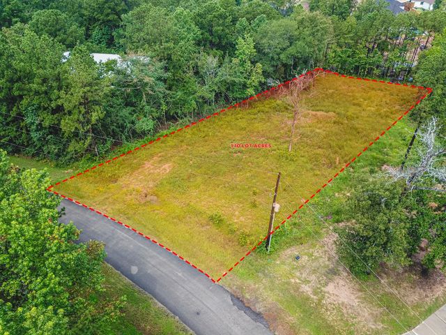 18332 Wisp Willow Way, Porter, TX 77365