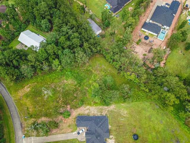 18332 Wisp Willow Way, Porter, TX 77365