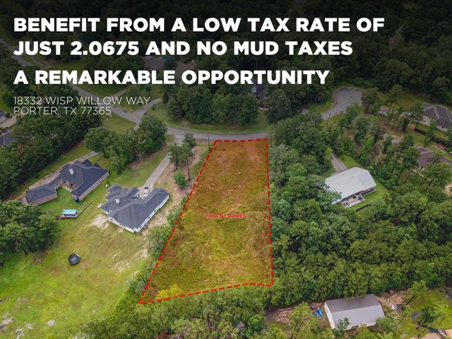 18332 Wisp Willow Way, Porter, TX 77365