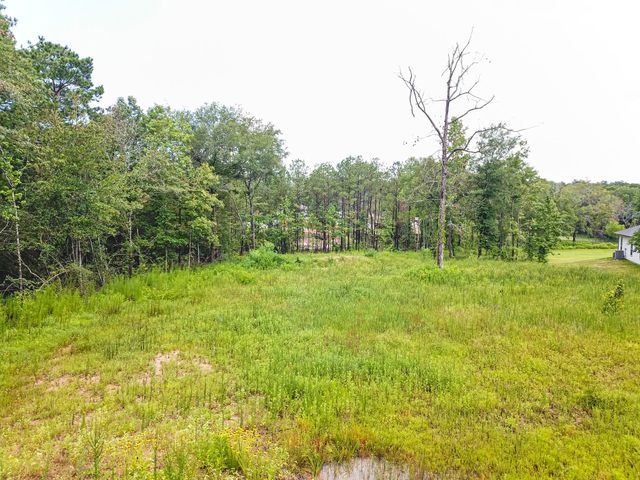 18332 Wisp Willow Way, Porter, TX 77365