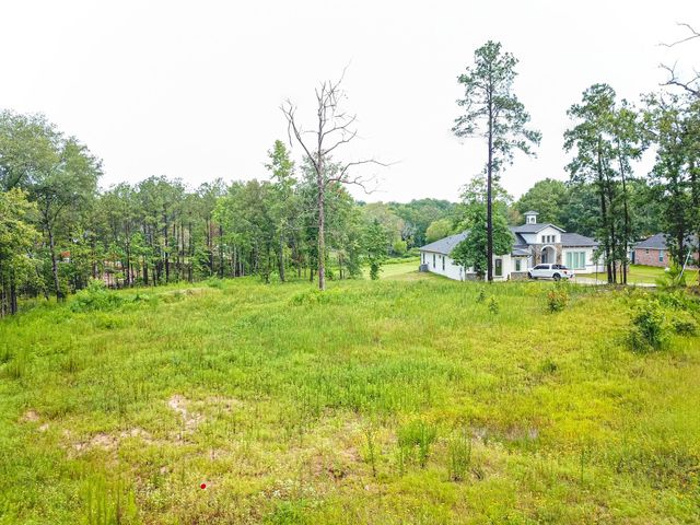 18332 Wisp Willow Way, Porter, TX 77365