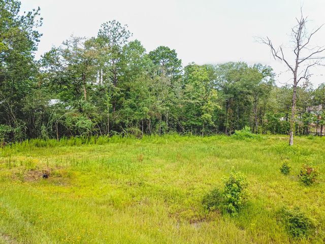 18332 Wisp Willow Way, Porter, TX 77365