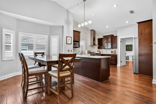 15308 OTTO ROAD, Tampa, FL 33624