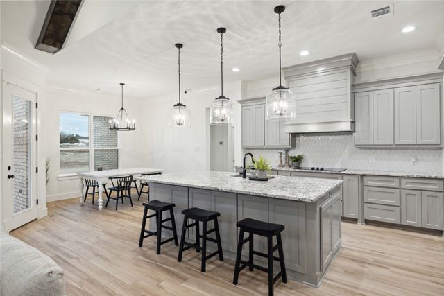 252 Oak Meadow Lane, Weatherford, TX 76085