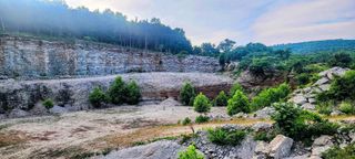 29423 HWY 123, Western Grove, AR 72685