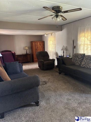 752 Branhams Airport Rd, Darlington, SC 29532