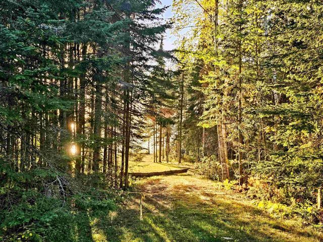 90215 Birch Hill Rd, Cornucopia, WI 54827