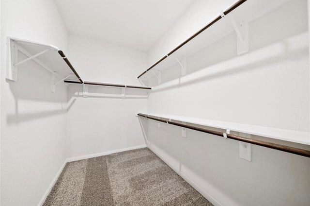 25290 Pomegranate Place, Montgomery, TX 77316