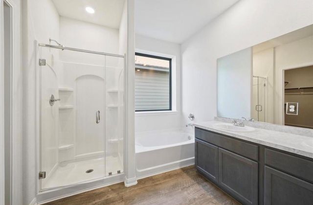 25290 Pomegranate Place, Montgomery, TX 77316