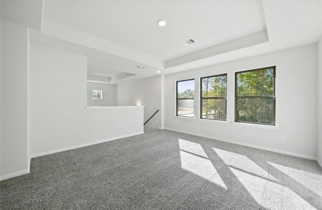 25290 Pomegranate Place, Montgomery, TX 77316