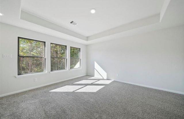 25290 Pomegranate Place, Montgomery, TX 77316