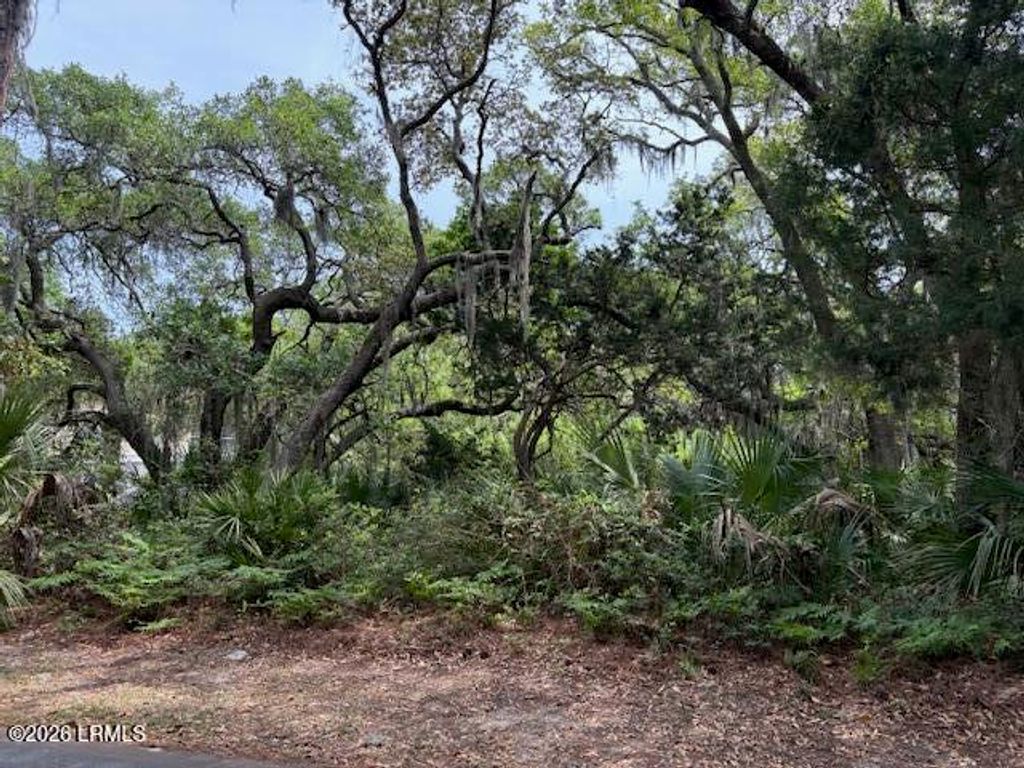15 Lakeview Lane, Harbor Island, SC 29920