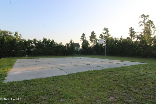 307 Basil Court, Hubert, NC 28539