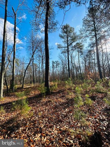 7005 FLORAL PARK RD, Brandywine, MD 20613