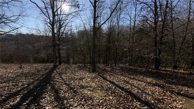 21753 Chinquapin Road, Springdale, AR 72764
