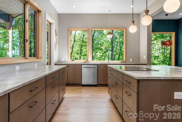 77 Mcintyre Drive, Asheville, NC 28803