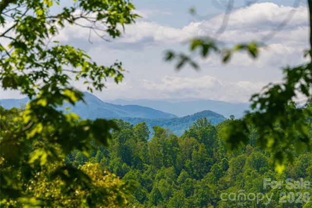 77 Mcintyre Drive, Asheville, NC 28803