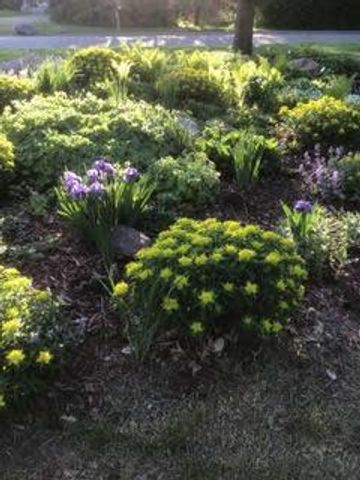 1901 Yorkshire Avenue S, Hopkins, MN 55305