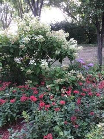 1901 Yorkshire Avenue S, Hopkins, MN 55305