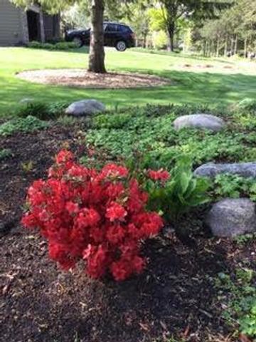 1901 Yorkshire Avenue S, Hopkins, MN 55305