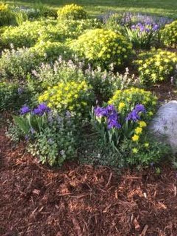 1901 Yorkshire Avenue S, Hopkins, MN 55305