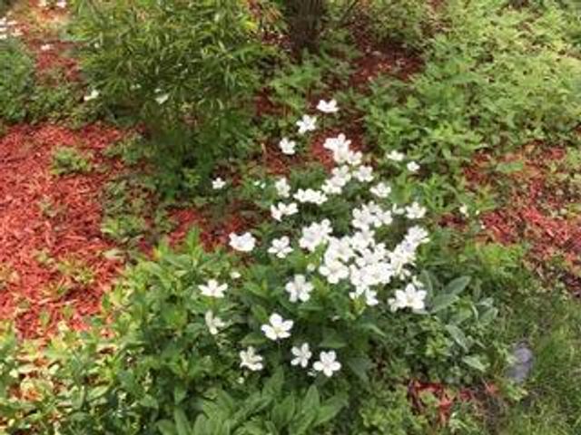 1901 Yorkshire Avenue S, Hopkins, MN 55305