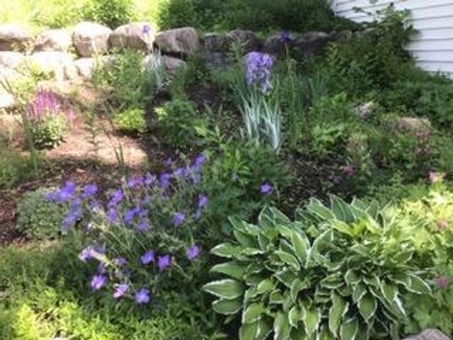 1901 Yorkshire Avenue S, Hopkins, MN 55305