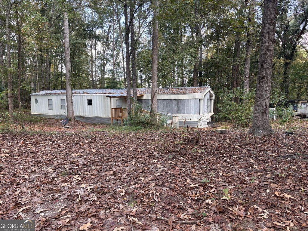 12 Roberts Road, Whitesburg, GA 30185 — photo 5