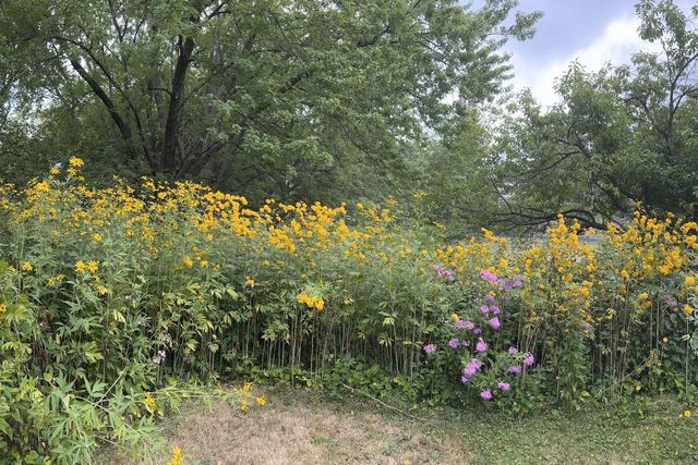 1929 Margaret Street, Saint Paul, MN 55119