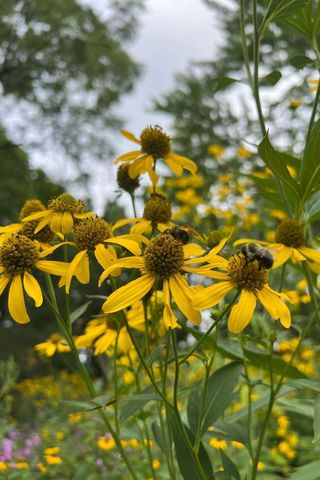 1929 Margaret Street, Saint Paul, MN 55119