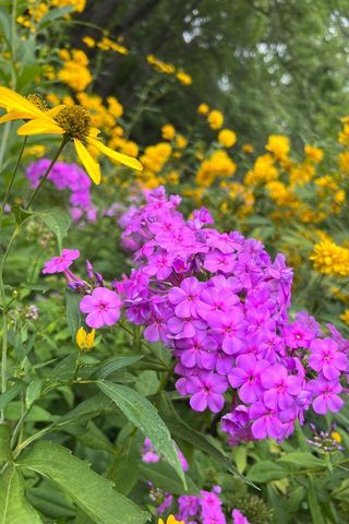 1929 Margaret Street, Saint Paul, MN 55119