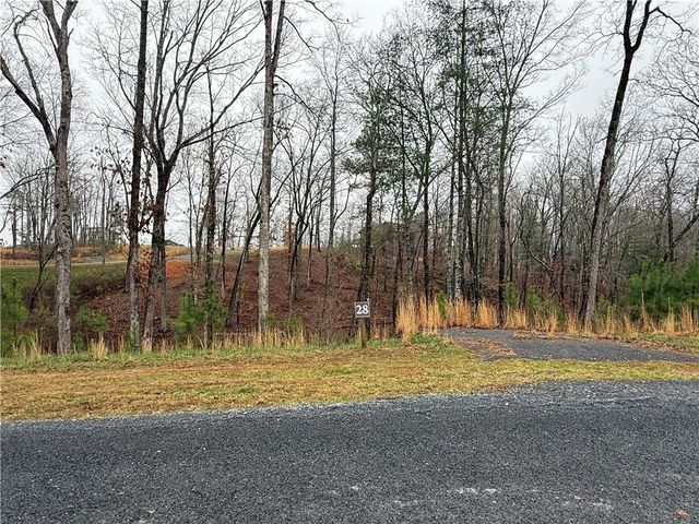 0 Lake Top Ln Lane, Ellijay, GA 30536