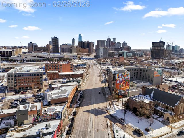 1438 Michigan Ave, Detroit, MI 48216