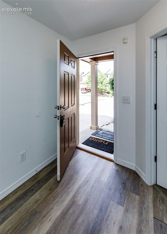 3840 Falconry Drive, Colorado Springs, CO 80922 — photo 5