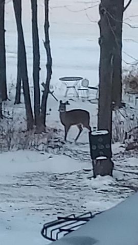 203635 LAKEHURST ROAD, Mosinee, WI 54455