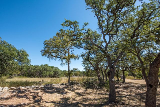 840 Forest View DR, Blanco, TX 78606