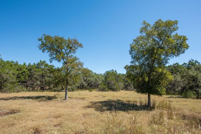 840 Forest View DR, Blanco, TX 78606
