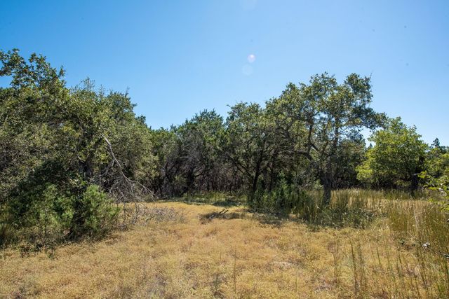 840 Forest View DR, Blanco, TX 78606