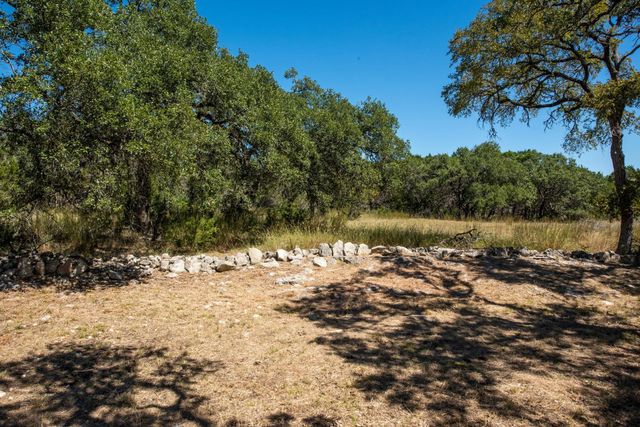 840 Forest View DR, Blanco, TX 78606