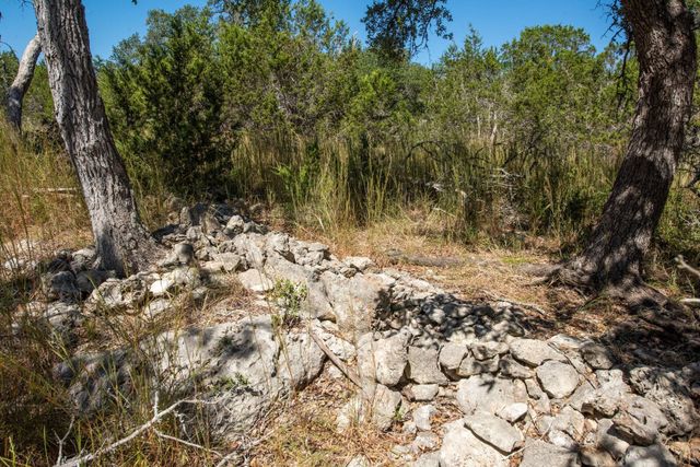 840 Forest View DR, Blanco, TX 78606