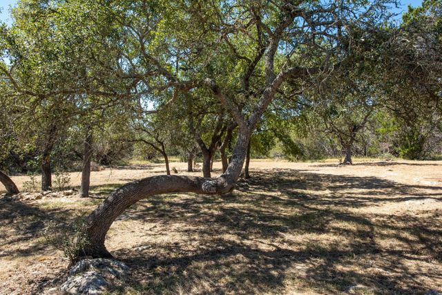 840 Forest View DR, Blanco, TX 78606