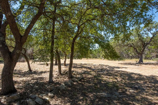 840 Forest View DR, Blanco, TX 78606