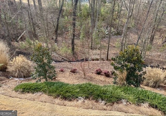 2850 Canter Meadow Drive, Cumming, GA 30040