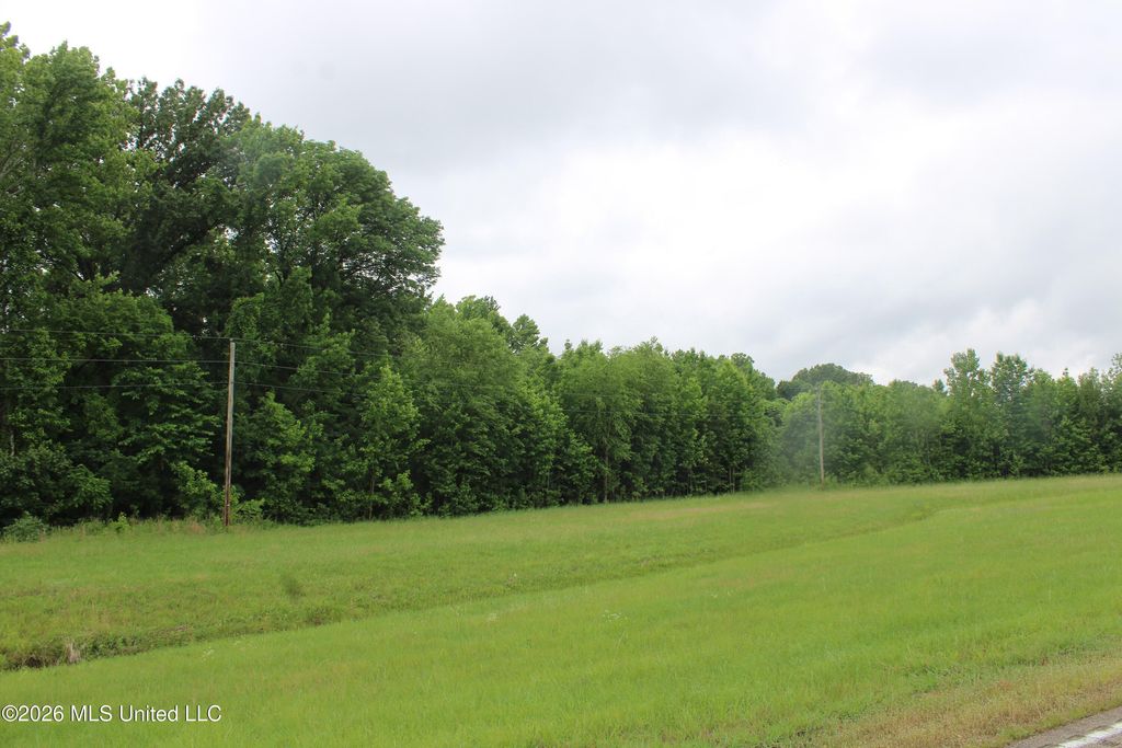 6 Eason Farm Road, Byhalia, MS 38611 — photo 2