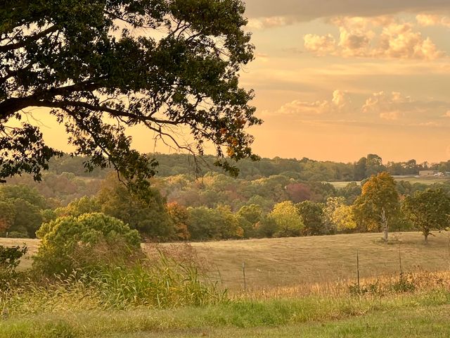 2024 Dogwood Tree Road, Reeds Spring, MO 65737