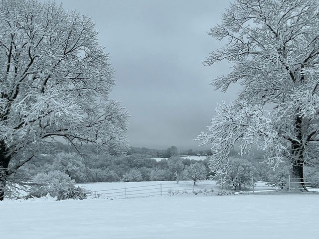 2024 Dogwood Tree Road, Reeds Spring, MO 65737