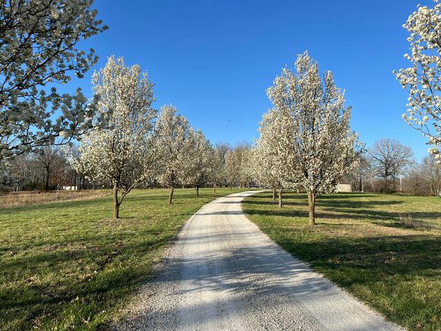 2024 Dogwood Tree Road, Reeds Spring, MO 65737